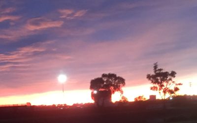 Bushfire Survival Plans: Preparing for the unpredictable